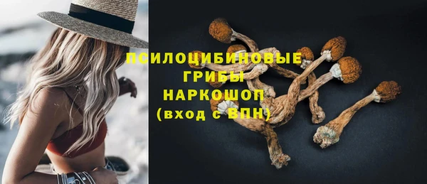 ГАЛЛЮЦИНОГЕННЫЕ ГРИБЫ Дмитровск