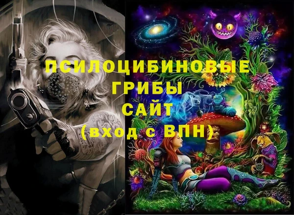 прущие крисы Дмитриев