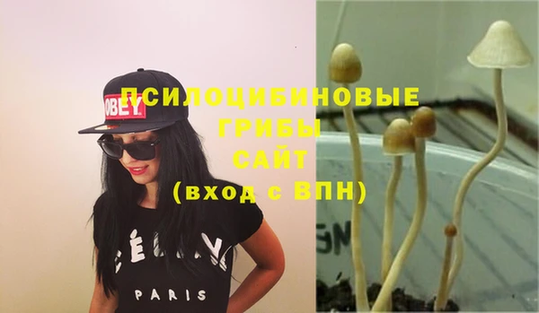 ГАЛЛЮЦИНОГЕННЫЕ ГРИБЫ Дмитровск